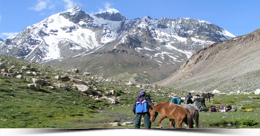 ladakh overland travel